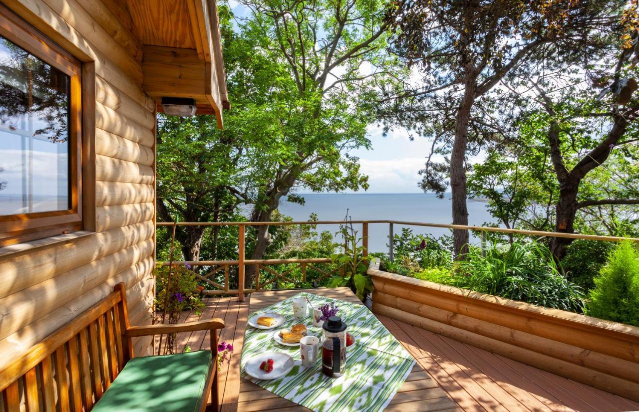 Porthole Log Cabin Minehead Bagian luar foto